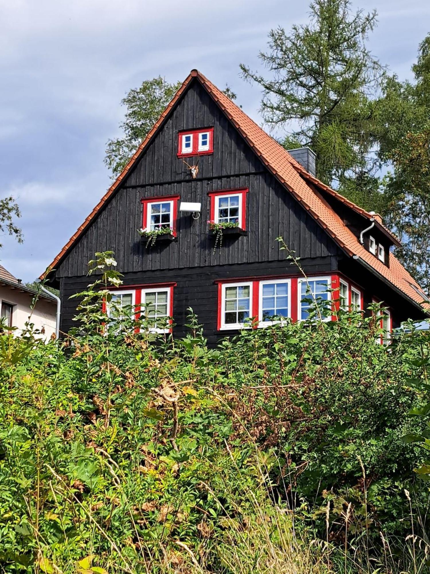 Haus Erna Schierke公寓 外观 照片